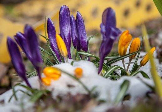 Danas umjereno oblačno i toplo