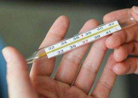 Po živin toplomjer dolaze u BiH