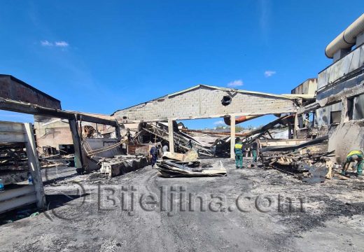 Šta će biti sa radnicima firme Mega drvo?