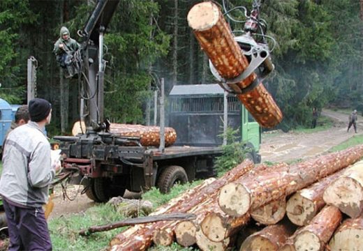 Minić: Slijede smjene u šumskim gazdinstvima koja su negativno poslovala