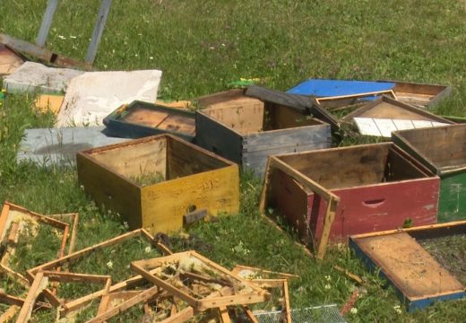 Više naseljenih mjesta posjetio nezvani gost: Medvjed polupao košnice