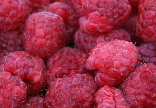 Kilogram malina 24 evra: Svi pitaju za cijenu, samo rijetki kupuju