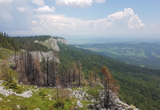 Oko 200 planinara učestvuje u pohodu na Veliki Lupoglav na Romaniji