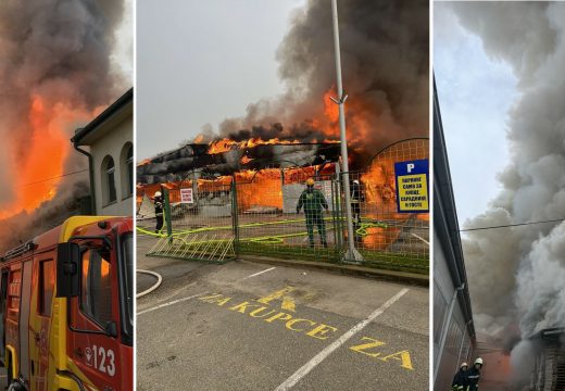 Grad Bijeljina će interventno izdvojiti finansijska sredstva za pomoć „Mega Drvu“