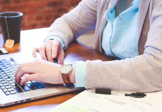 Radna snaga glavni adut strancima