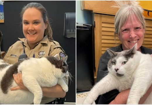 Ovo je najdeblji mačak na svijetu, ne postoji kavez u koji on može stati (VIDEO)