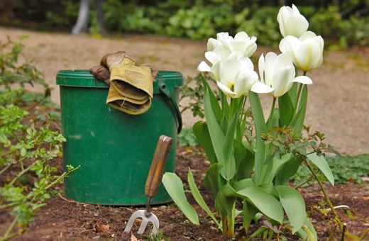 Rad u vrtu smanjuje nivo stresa i sagorijeva kalorije