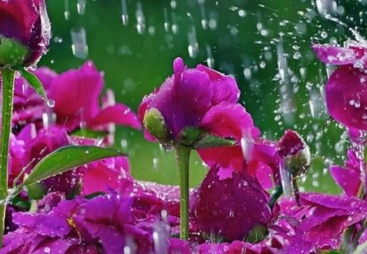 Danas promjenljivo oblačno i nestabilno vrijeme