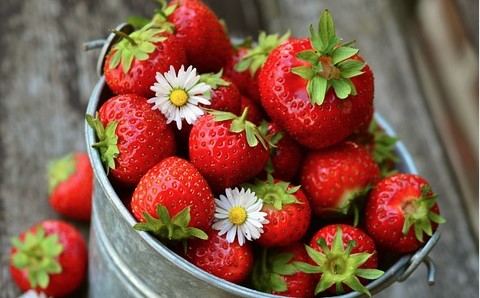 Koliko jagoda je dovoljno pojesti tokom dana?