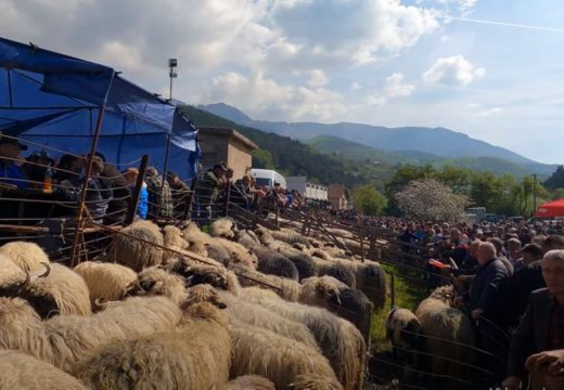 Tradicionalni stočni sajam u Travniku