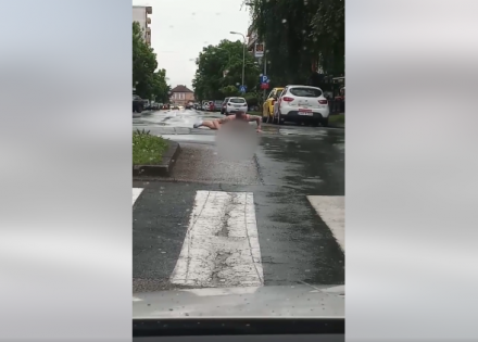 Go “plivao na cesti” u Gradišci (Video)