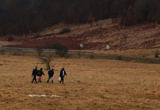 Porast nezakonitih prelazaka granice sa BiH, a evo odakle sve dolaze migranti