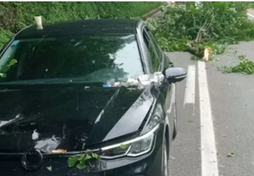 Grana pala na automobil, vozač povrijeđen (Foto)