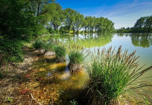 Danas promjenljivo oblačno i toplije