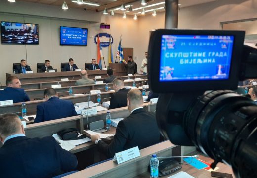 Skinuto više tačaka dnevnog reda 