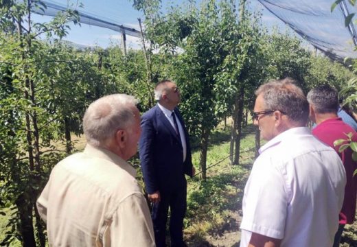 Minić u posjeti Udruženju voćara Srpske (Foto)