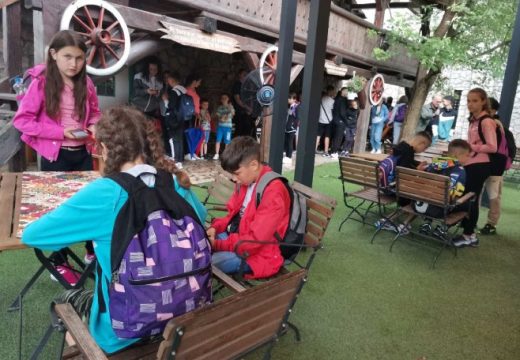 Djeca sa Kosmeta stigla u Republiku Srpsku