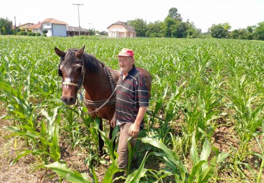Đuro se ne odvaja od svoga konja