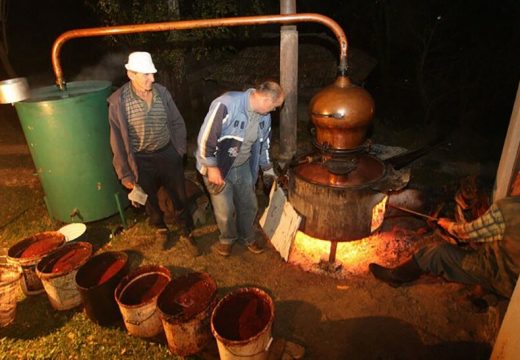 Evo koliko smo šljive ove godine “oteli” od lošeg vremena