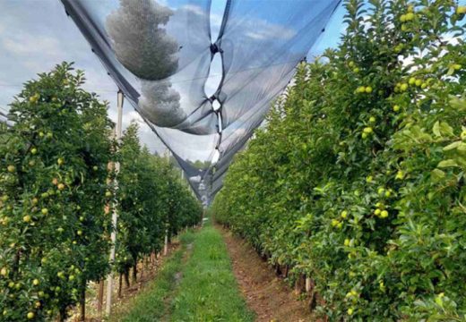 Voćanjaci na području Gradiške i Laktaša opustošeni