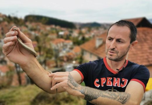 Arsenije je “hvatač stršljenova” i ima nekoliko savjeta za nas