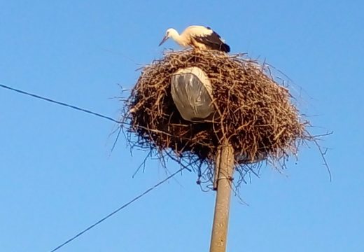 Rodama ne smeta gužva (FOTO)