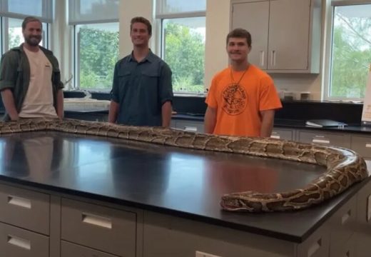 Uhvatili zvijer od 57 kilograma (VIDEO)