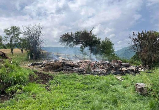 Od udara groma stradala krava i 11 ovaca