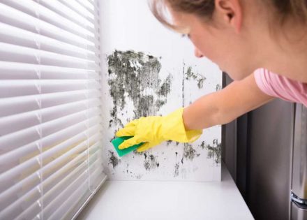 Kako da se najjednostavnije i najjeftinije riješite buđi?