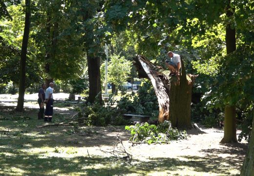 Otvorene telefonske linije za prijavu štete