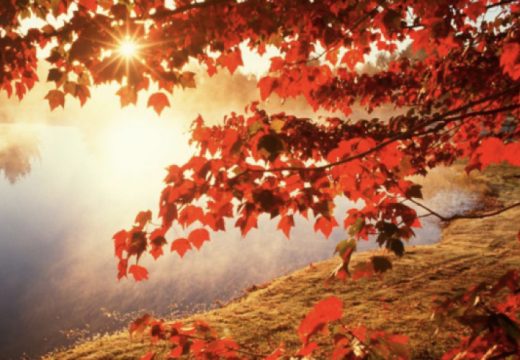 Ove praznike slavimo u septembru: U crkvenom kalendaru su obilježeni crvenom slovom i prate ih značajni običaji