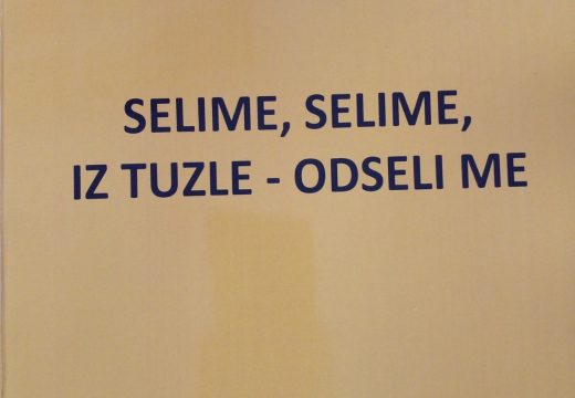 Lazo M. Ristić predstavio svoju prvu knjigu u Muzeju Semberije