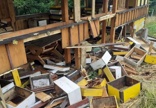 Životinja uništila veliki pčelinjak