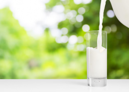 Isplaćena premija za mlijeko za jun