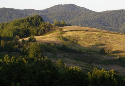 Navigacija ga odvela u neprohodni dio Prosare, vozač brzo pronađen