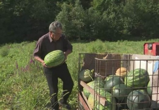 Pero iz Prnjavora ni sa 90 godina ne odustaje od proizvodnje lubenica