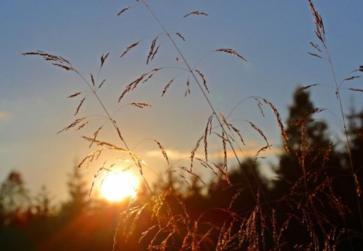 Danas pretežno sunčano i toplije vrijeme