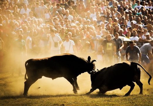 Tokom vikenda bogat program Kočićevog zbora besplatan prevoz i parking