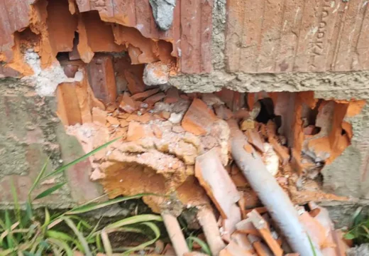 Zmija se uvukla u zid (Video)