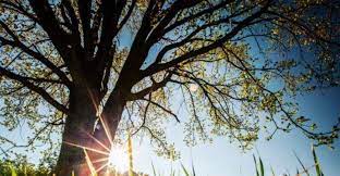 Danas pretežno sunčano i toplo