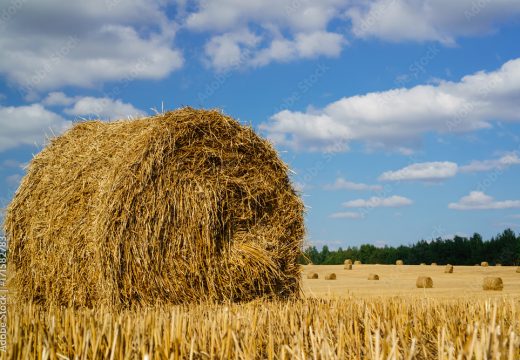 Danas umjereno oblačno i toplo