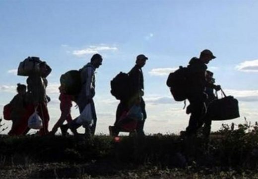 Avganistanac u čamcu preko Drine švercovao 20 zemljaka