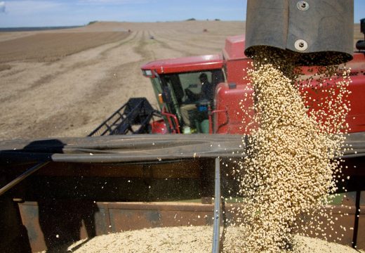 Na otkupnu cijenu soje uticaće uvoz