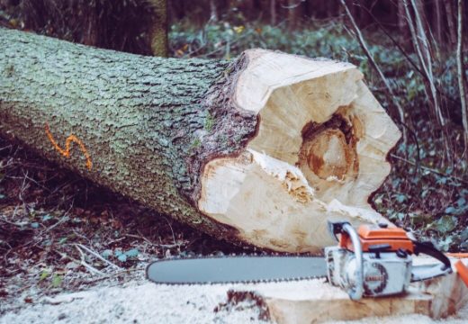 Povrijeđen prilikom sječe šume, smješten na UKC RS