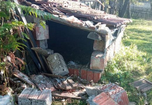 Razbucao kokošinjac i podavio kokoši (Foto)