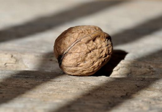 Šta se dešava sa tijelom kada svakodnevno jedete orahe