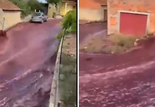 U Portugalu iscurilo višе od dva miliona litara vina (VIDEO)