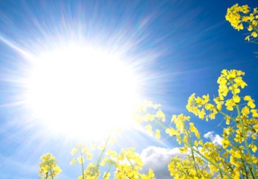 Sutra i do 34 stepena Celzijusova