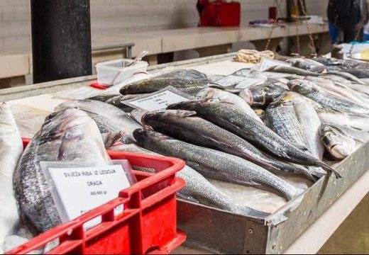 Stručnjaci upozorili: Ovu ribu nikako ne spremajte za slavu