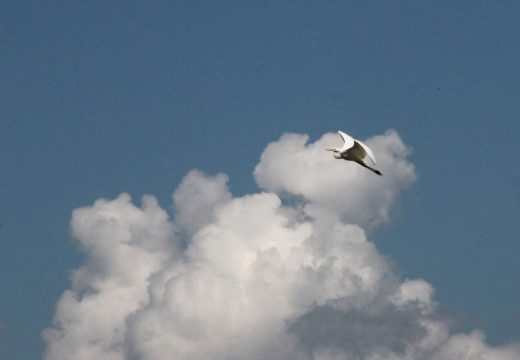 U Srpskoj rođeno 17 beba